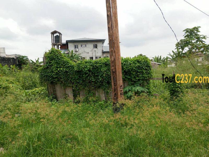 Terrain à vendre à Pk10 (Tradex)