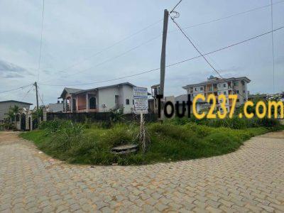 Terrain Commercial à vendre à kotto Pilote, Douala