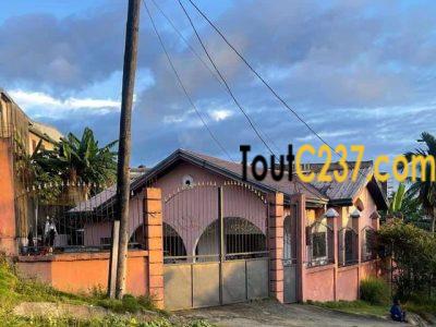 Maison à vendre à Ndogpassi 3, Douala