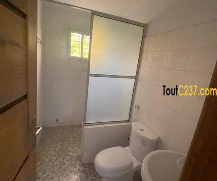 Plusieurs appartements à Bonamoussadi