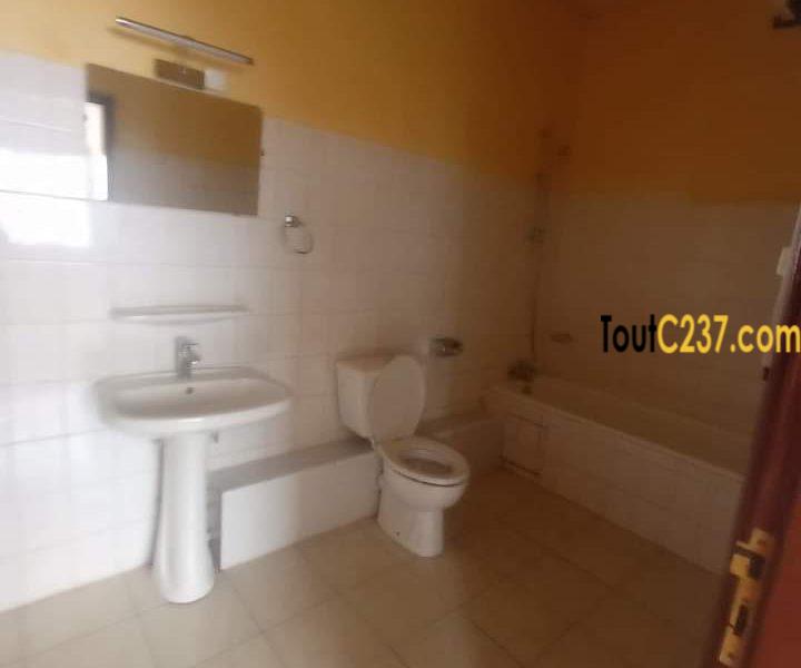 Vaste appartement à louer à Bonapriso