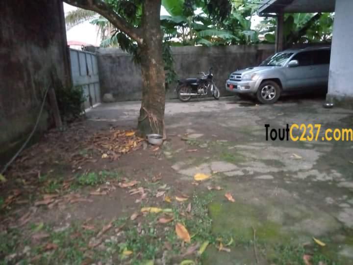Maison à vendre à Bonaberi, Douala