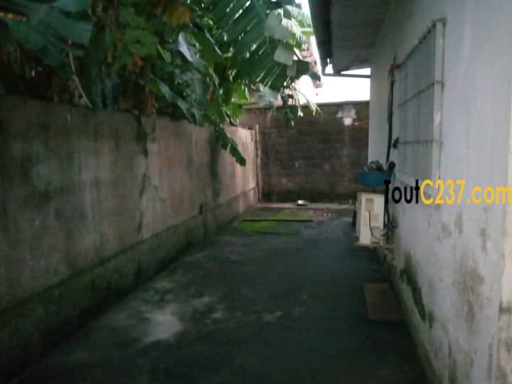 Maison à vendre à Bonaberi, Douala