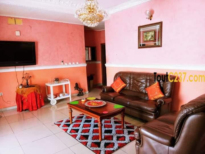 Appartement meublé à louer à Bonamoussadi