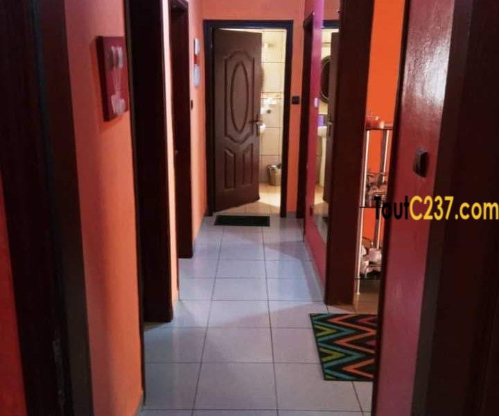 Appartement meublé à louer à Bonamoussadi