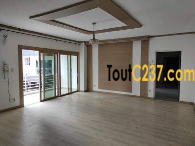 Appartement à louer à Bonapriso Douala