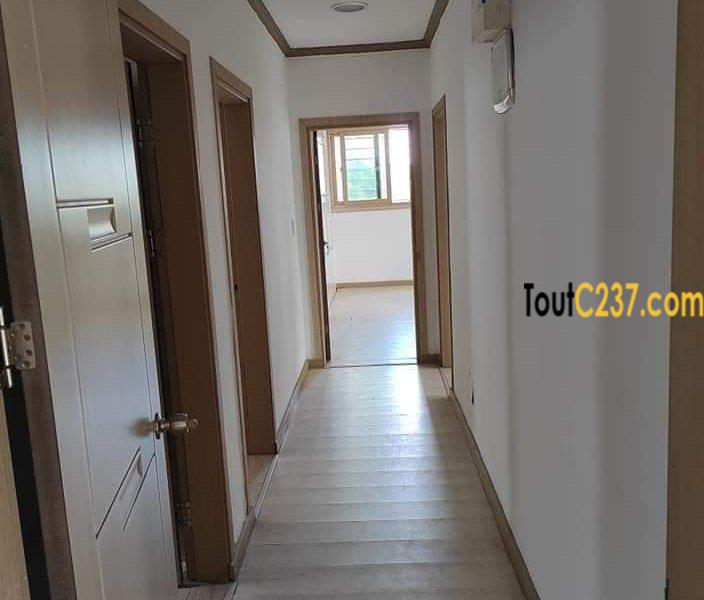 Appartement à louer à Bonapriso Douala