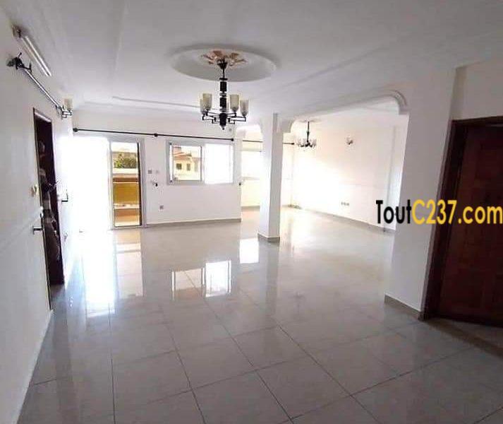 Appartement à louer à Bonamoussadi