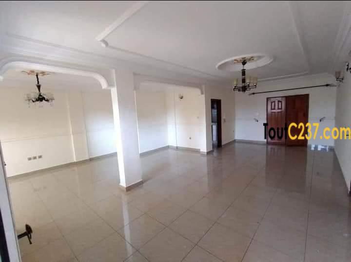 Appartement à louer à Bonamoussadi