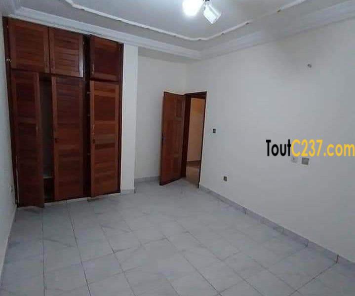 Appartement à louer à Bonamoussadi