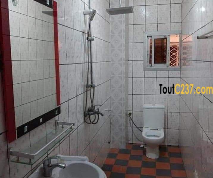 Appartement à louer à Bonamoussadi