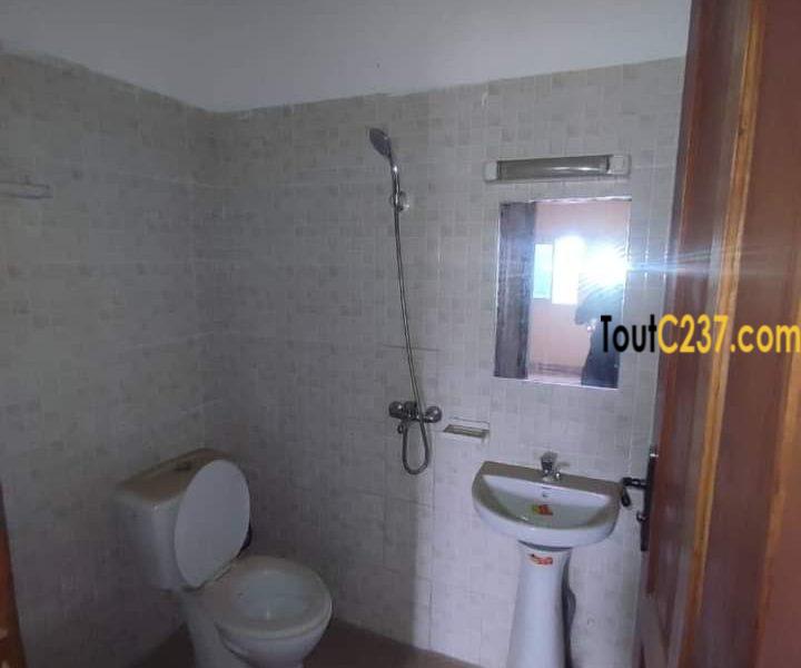 Appartement privé à louer à Bonamoussadi