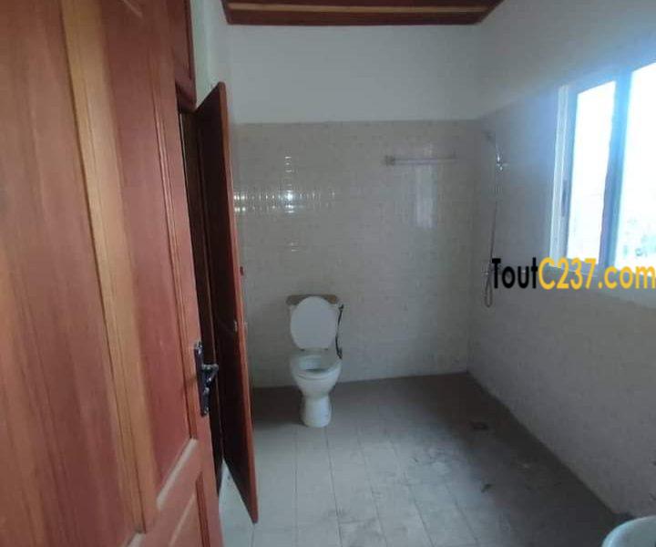 Appartement privé à louer à Bonamoussadi