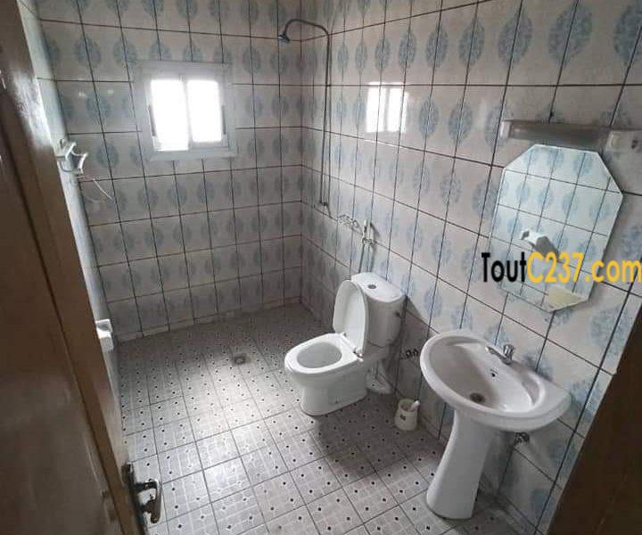 Appartement climatisé à louer à Bonamoussadi