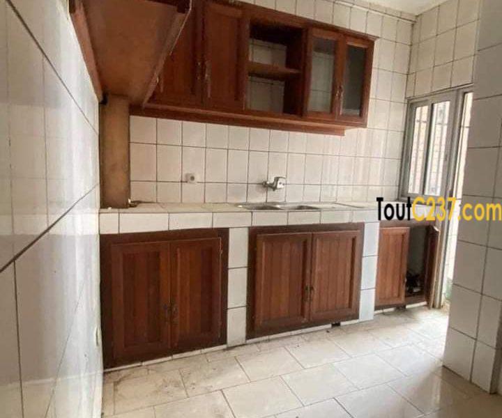 Vaste appartement à louer à Bonapriso