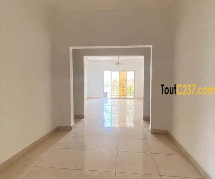 Vaste appartement à louer à Bonapriso