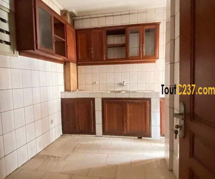 Vaste appartement à louer à Bonapriso
