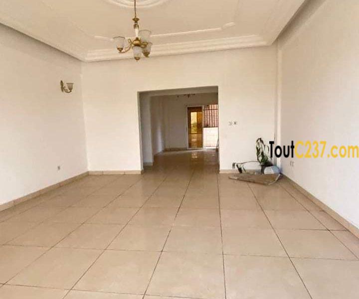 Vaste appartement à louer à Bonapriso