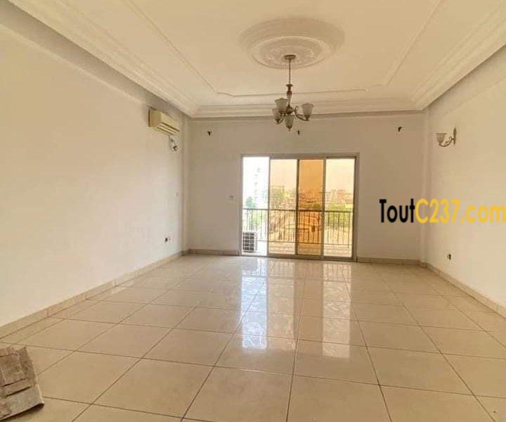 Vaste appartement à louer à Bonapriso