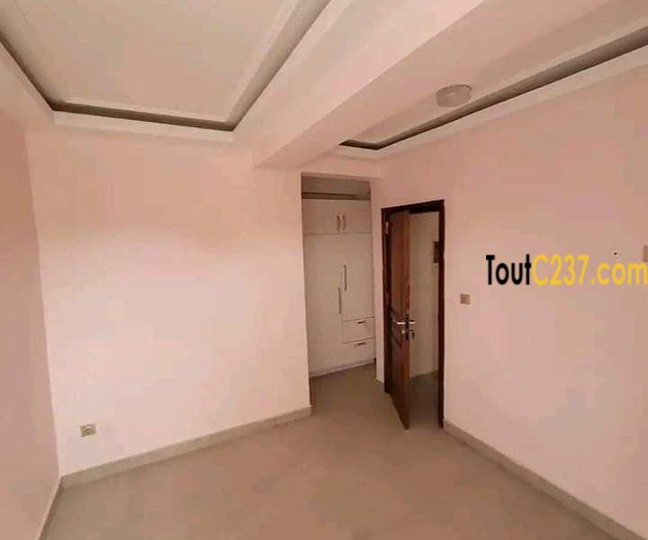 Studio moderne à louer à Bonapriso