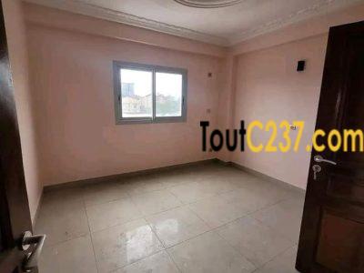 Studio moderne à louer à Bonapriso