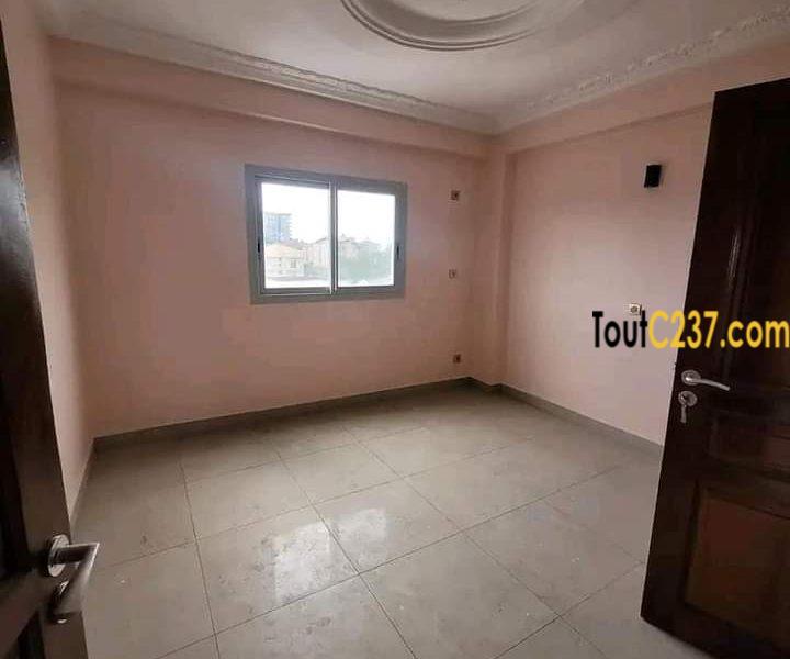 Studio moderne à louer à Bonapriso
