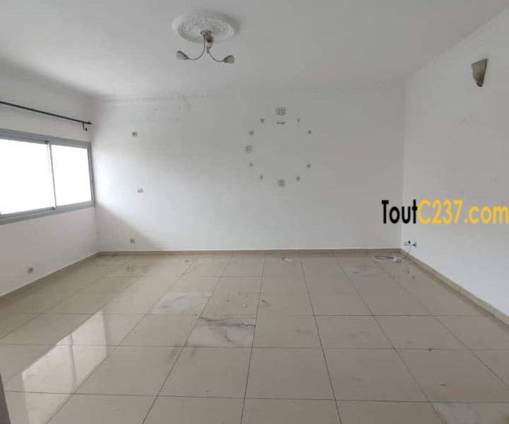 Appartement à louer à Bonamoussadi