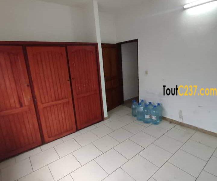 Appartement à louer à Bonamoussadi