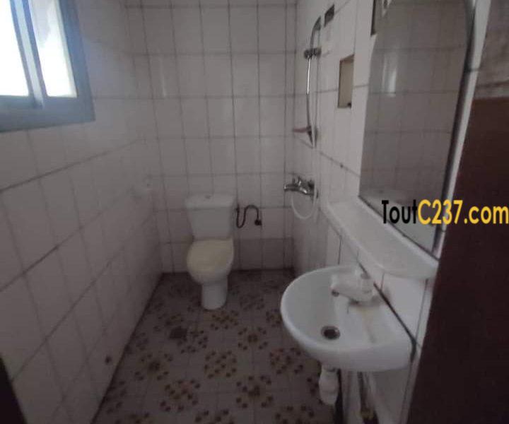 Appartement à louer à Bonamoussadi