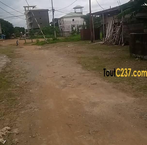 Terrain a vendre à Logbessou Douala