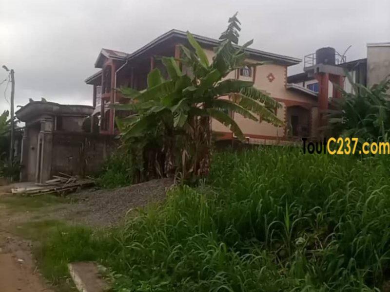 Terrain a vendre à Logbessou Douala