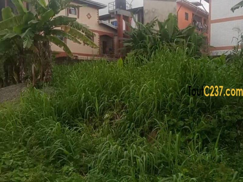 Terrain a vendre à Logbessou Douala
