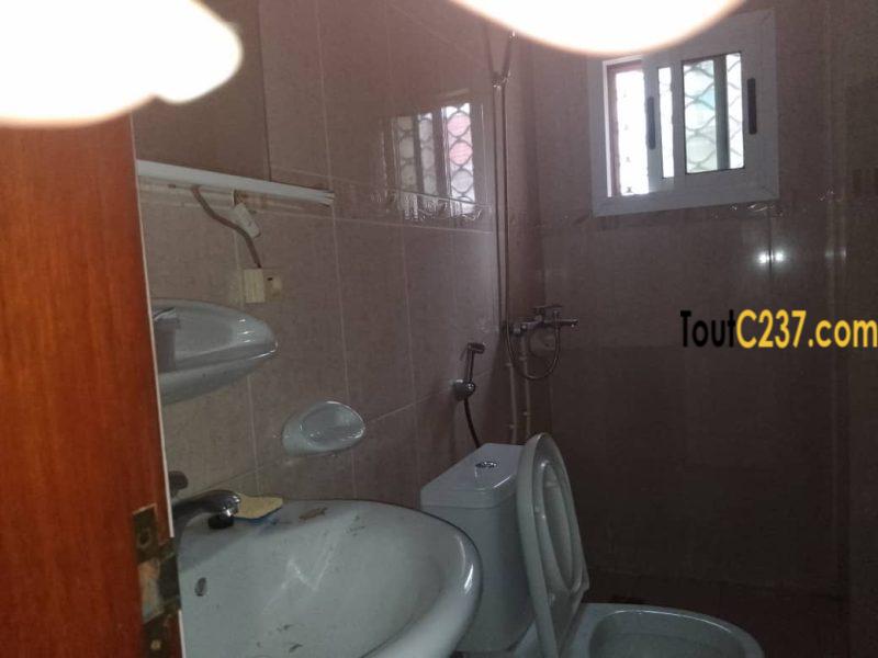 Appartement à louer à Bonapriso