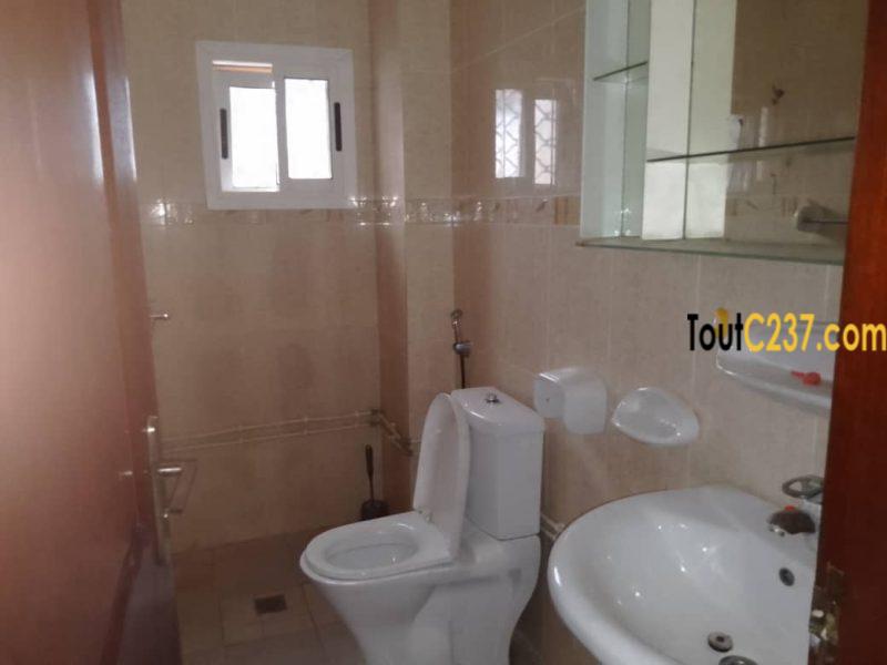 Appartement à louer à Bonapriso