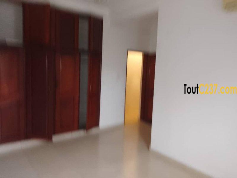 Appartement à louer à Bonapriso