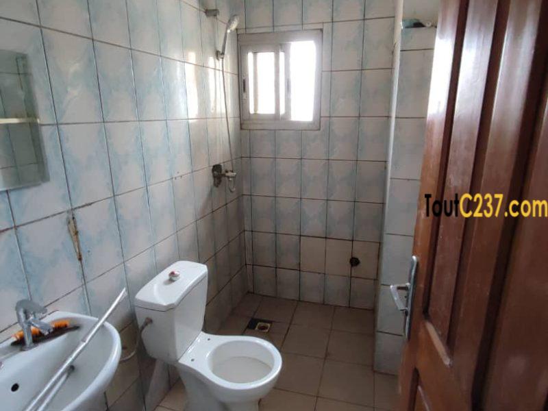 Appartement à louer à Bonamoussadi Douala