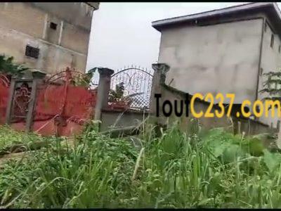 Terrain à vendre à Lendi Maison blanche