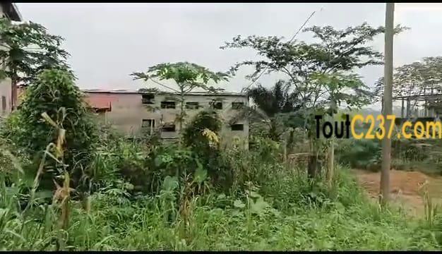 Terrain à vendre à Lendi Maison blanche