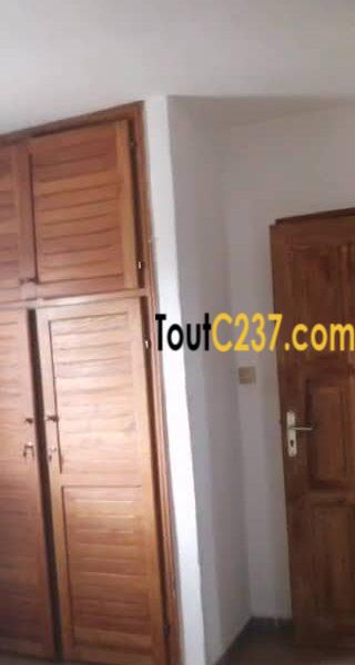 Appartement à louer à Bonamoussadi