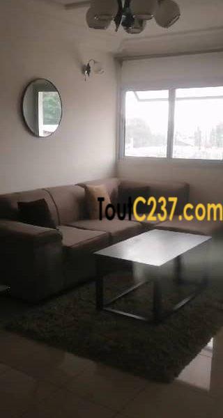 Appartement à louer à Bonamoussadi