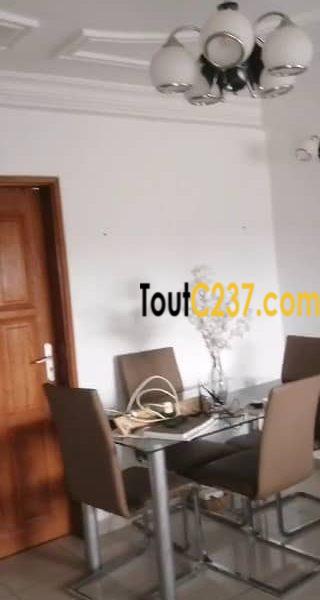 Appartement à louer à Bonamoussadi