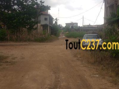 Urgent Terrain à vendre à Logpom