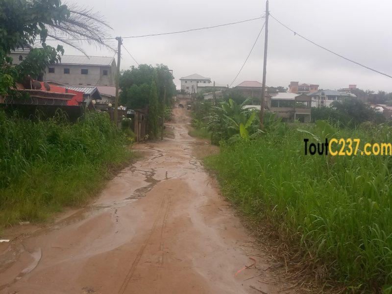 Terrain à vendre à Logbessou (crtv)