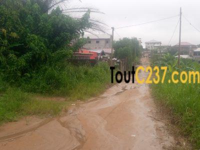 Terrain à vendre à Logbessou (crtv)