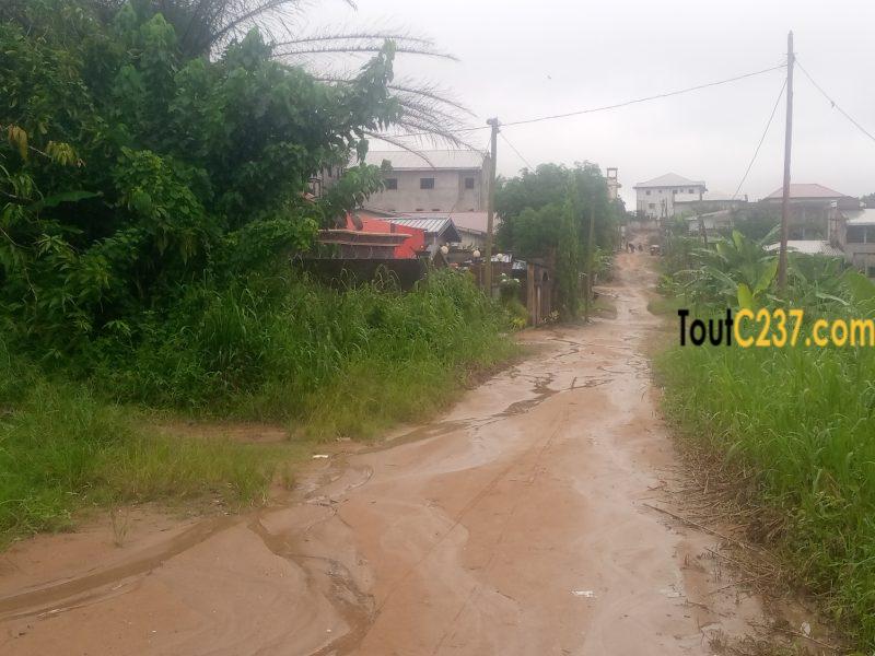 Terrain à vendre à Logbessou (crtv)