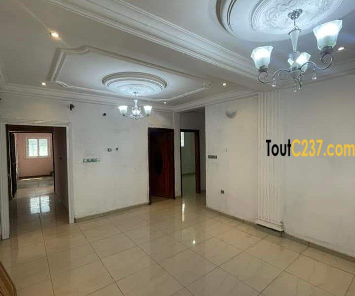 Appartement à louer à Bonapriso Douala
