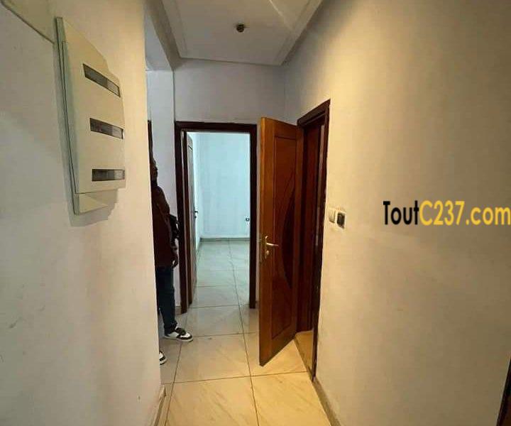 Appartement à louer à Bonapriso Douala