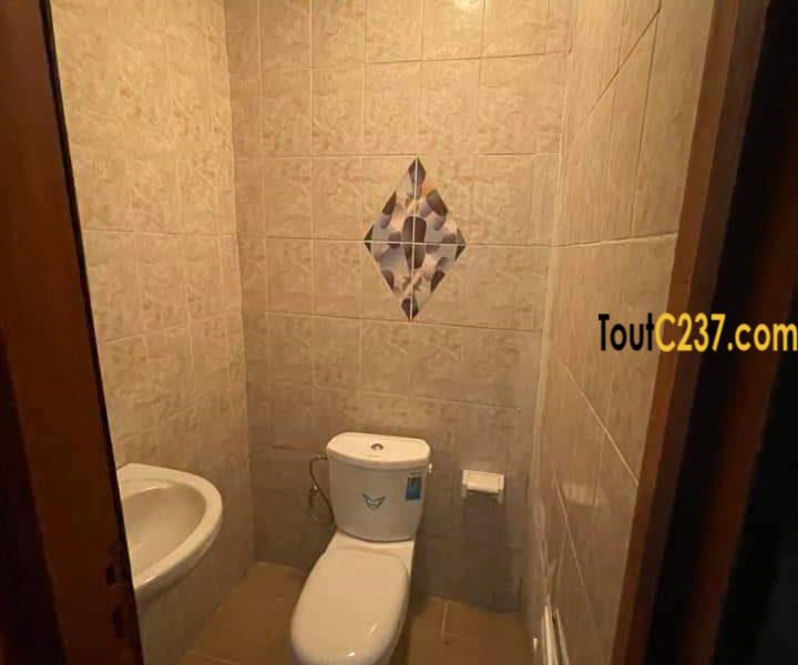 Appartement à louer à Bonapriso Douala
