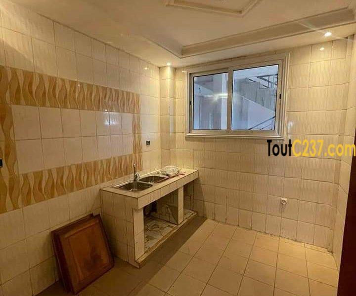 Appartement à louer à Bonapriso Douala