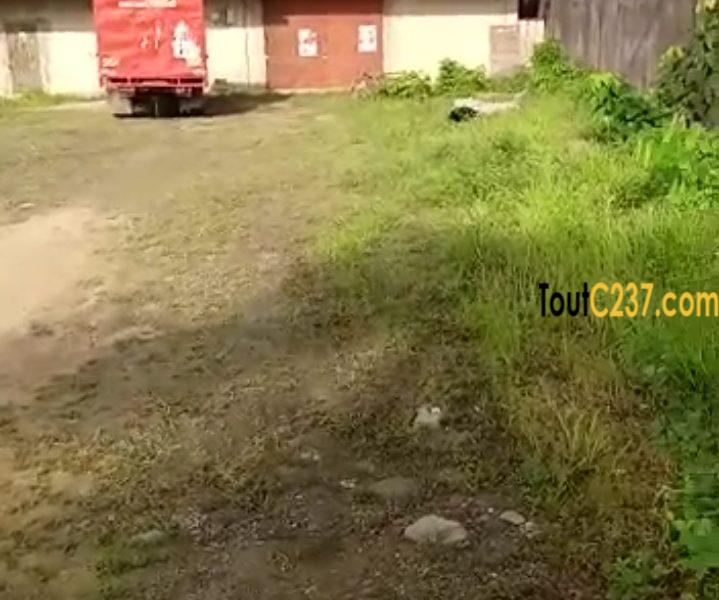 Entrepôt avec bureau à vendre à Yassa